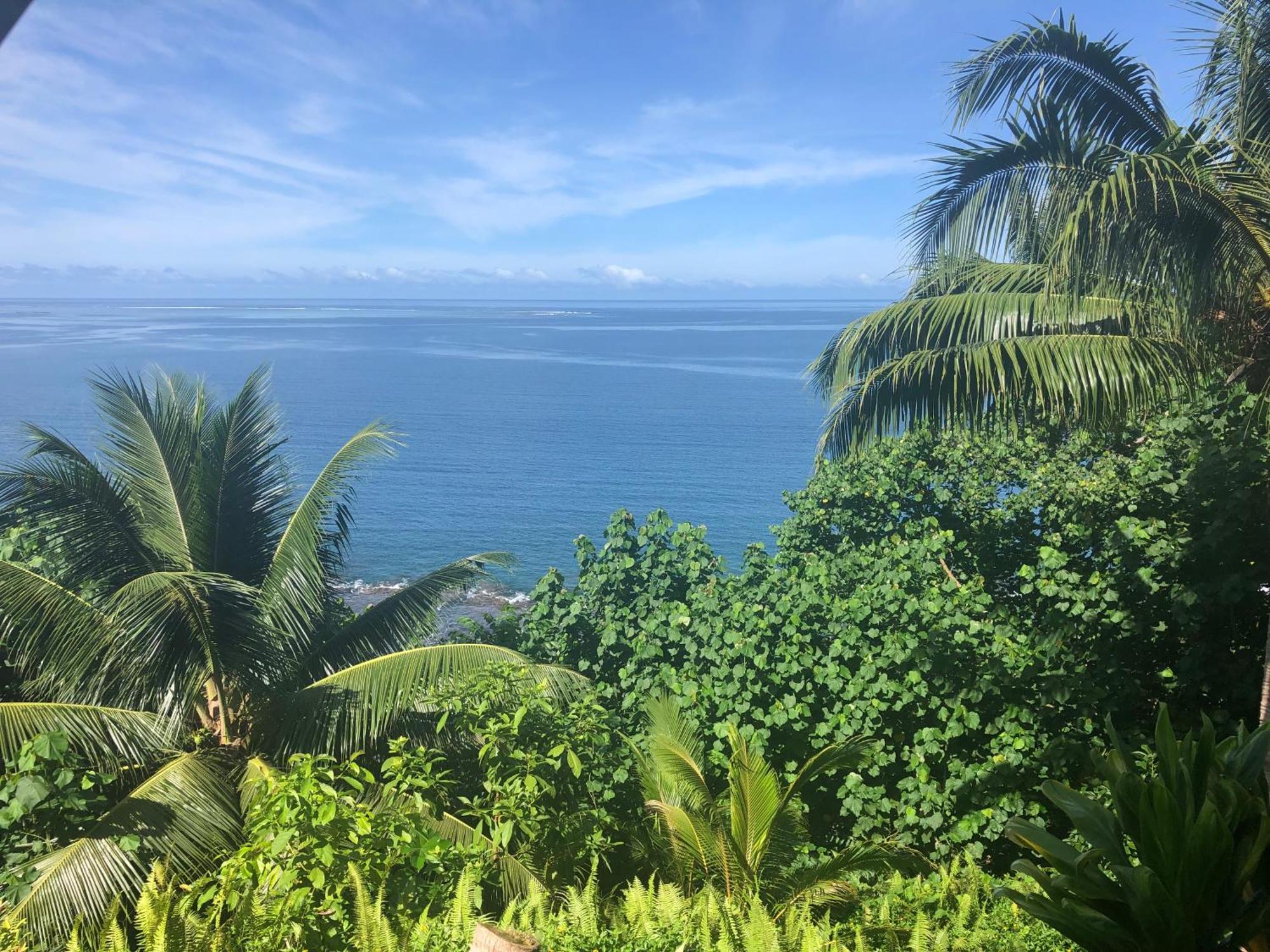 Tohautu Maui Homestay Vue Ocean Exceptionnelle & Baleines En Saison מראה חיצוני תמונה