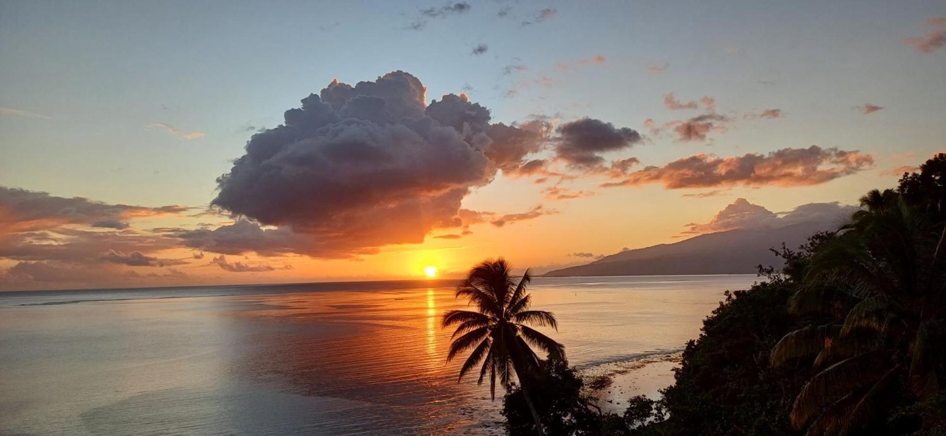 Tohautu Maui Homestay Vue Ocean Exceptionnelle & Baleines En Saison מראה חיצוני תמונה